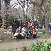 円山公園に花見に行きました 写真1