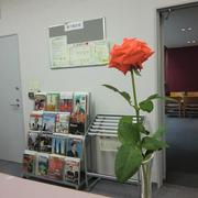 先週の花 写真1