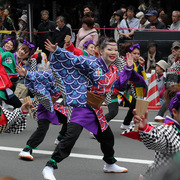 YOSAKOIが終わりましたね 写真1