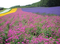 DSCN0009.JPG