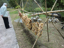 2012rijikai_CIMG2978.jpg
