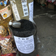 広州に行ってきました 写真2