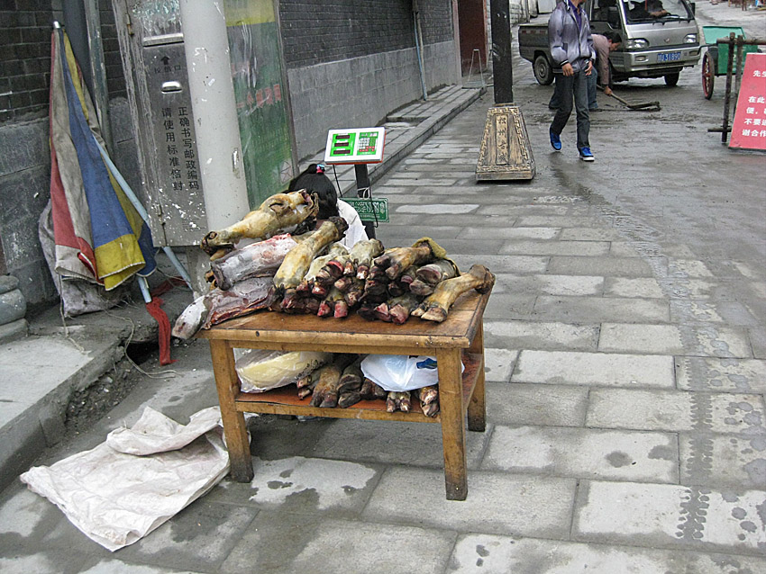 http://www.sapporo-koshi.jp/student/up_images/11tuorbr08.jpg