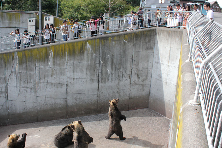 http://www.sapporo-koshi.jp/topics/up_images/12tanki_toya_10.jpg